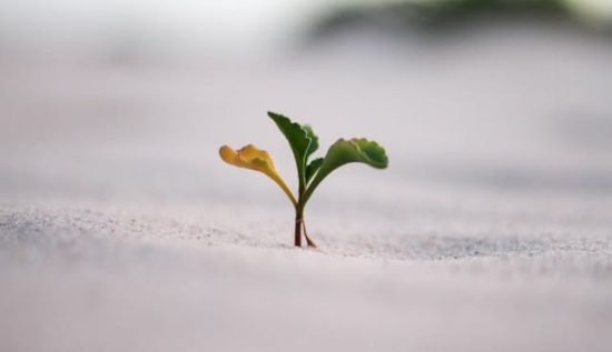 jeremy-bishop-vGjGvtSfys4-unsplash
